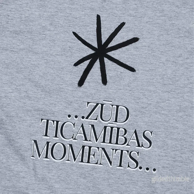 Kokvilnas T-krekls "Zūd ticamības moments" | pelēks - Bild 2