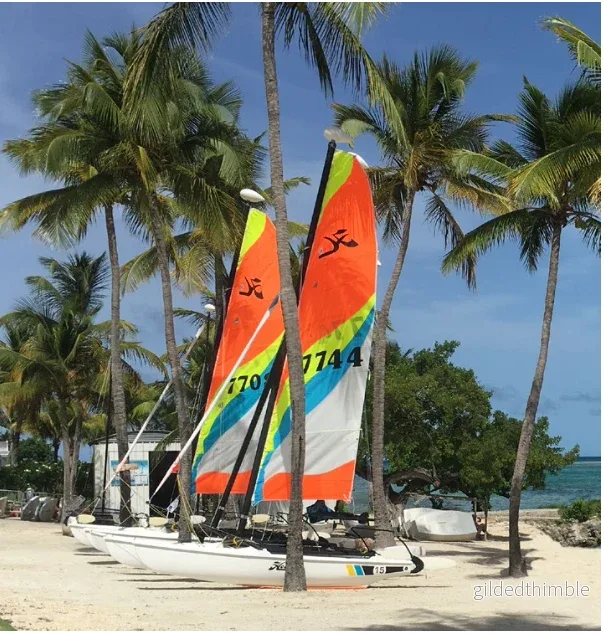 Hobie 15 Club