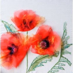 Oriental Poppies Oriental Poppies