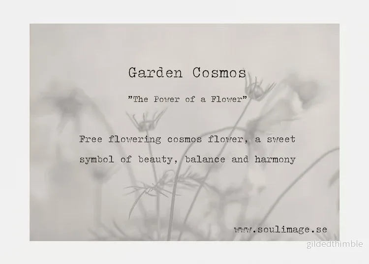Poster 'Cosmos Garden' - art print 50x70cm - Bild 2