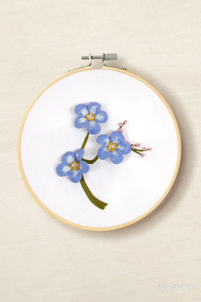 Forget Me Not