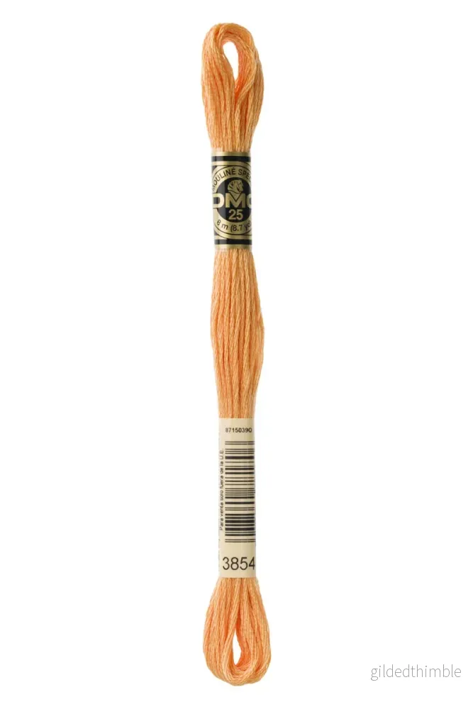 3854 DMC Mouliné