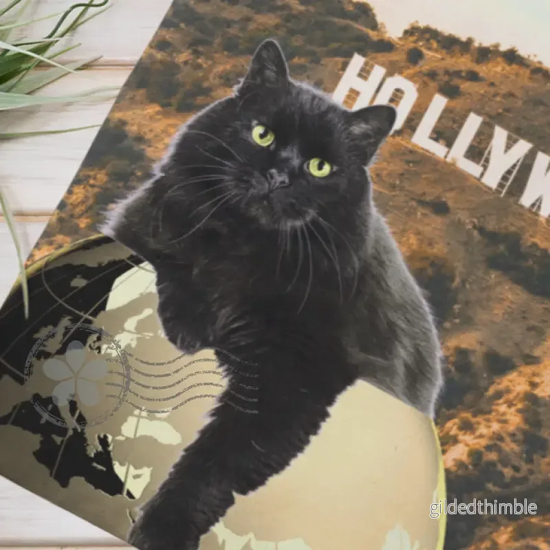 Lina vai kokvilnas auduma maisiņš «Melnais kaķis - Holivudā» - Bild 2