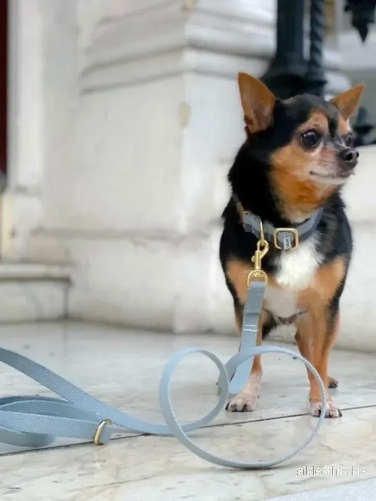 Hundkoppel & Halsband ’Blue’ Hundkoppel & Halsband ’Blue’